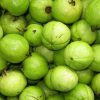 ổi găng ngâm rượu