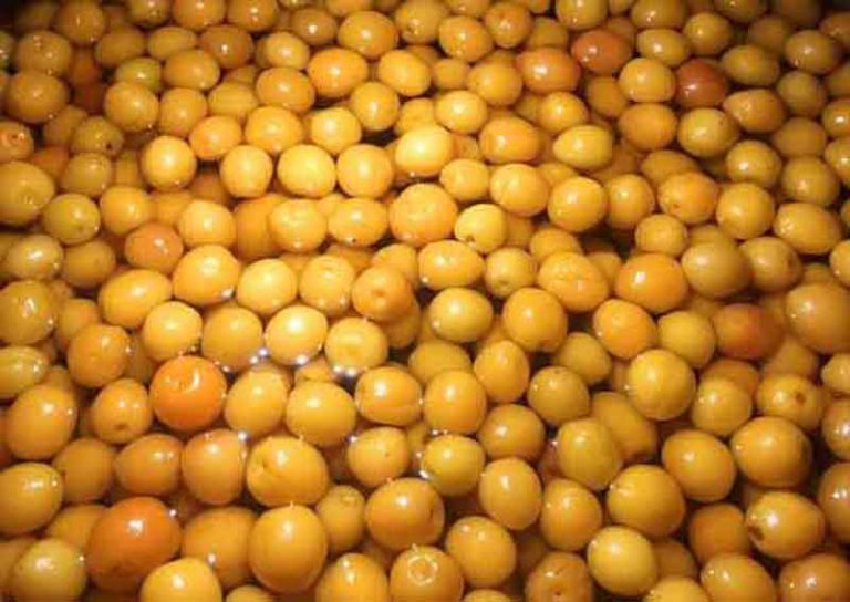 Địa chỉ bán rượu mơ ngâm thủ công đến TP. Đà Nẵng