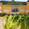 Rượu-đòng-đòng-Rucota-Đào-Công-Thành-3